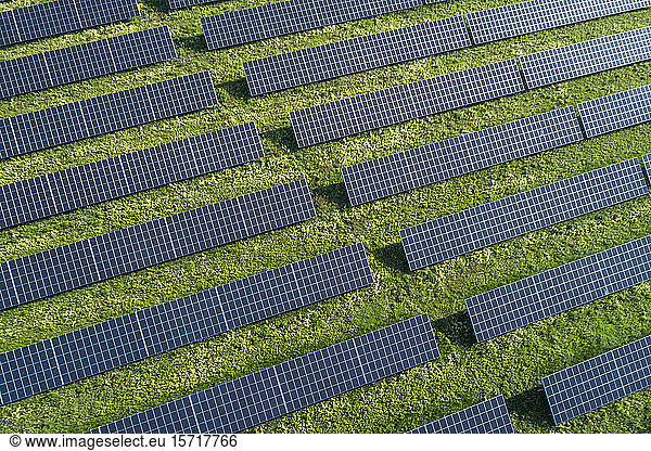 Bayern  Deutschland  Reihen von Sonnenkollektoren auf Gras angeordnet