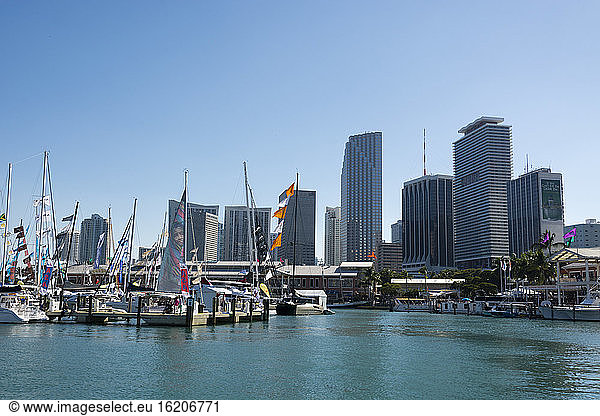 Bayside marina and Miami skyline  Downtown Miami  Miami  Florida  USA