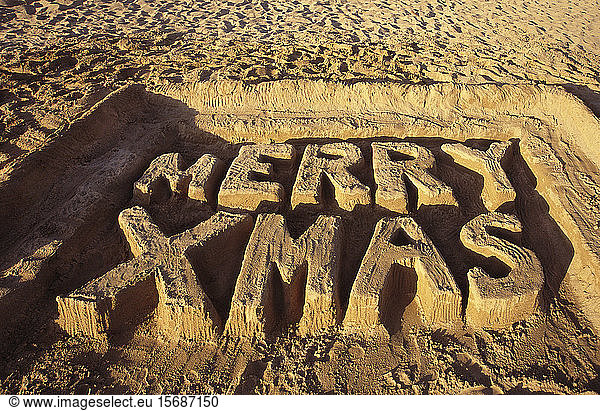 beach  Christmas  creativity