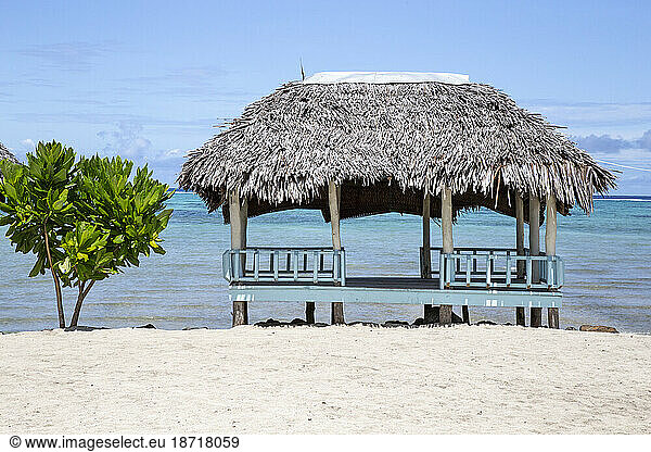 Beach hut and small tree on sandy beach of Samoa