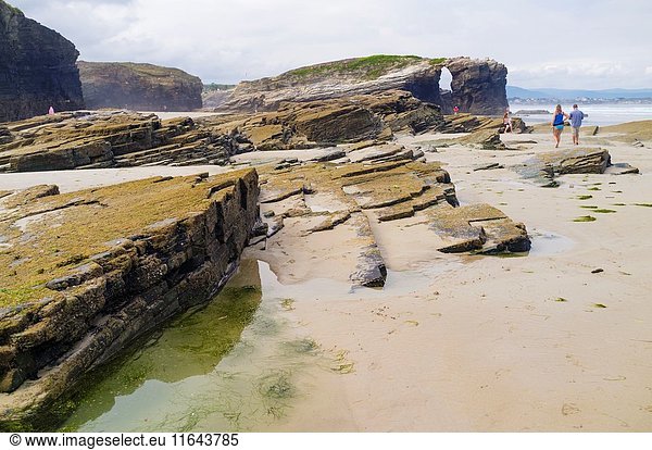 Beach of the Cathedrals Natural Monument at Ribadeo municipality,  Lugo province,  Galicia,  Spain,  Europe.