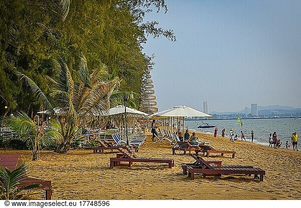 Beach  Palm (Palma)  Parasol  Sunbed  Bacco Beach  Restaurant  Jomtien  Pattaya  Thailand  Asia