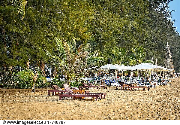 Beach  Palm (Palma)  Parasol  Sunbed  Bacco Beach  Restaurant  Jomtien  Pattaya  Thailand  Asia