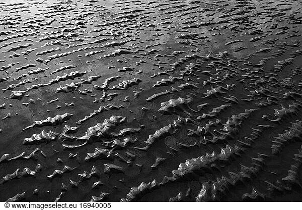 Beach sand at low tide and natural ripple patterns.
