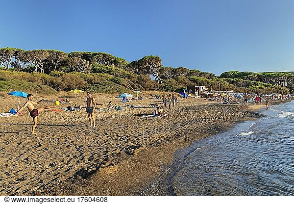 Beach Spiaggia di Baratti  Baratti  Maremma  Province of Livorno  Tuscany  Italy  Europe