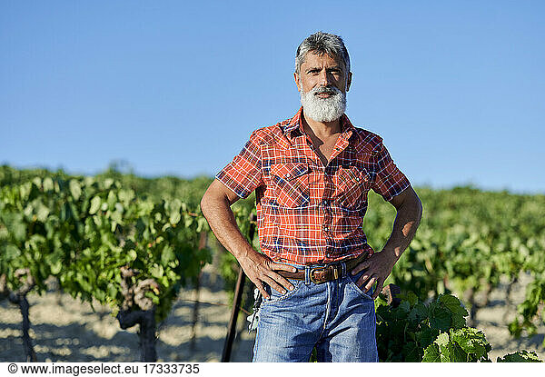 Bearded male farmer with hand on hip standing at vineyard