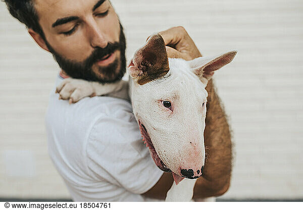 Bearded man hugging a white bull terrier dog