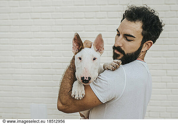 bearded man hugging white bull terrier dog