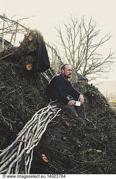 Bearded man sitting on ground next to bunch of wooden pleachers used in traditional hedge building.