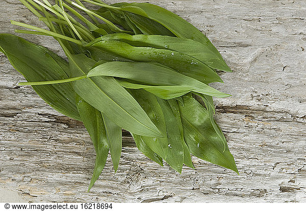 Bears garlic on wooden surface  close up