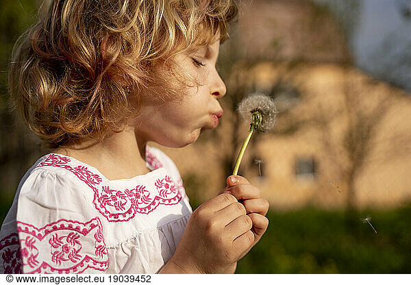 Beautiful blond girl with light eyes posing at camera at sunset blowing a flower that melts.