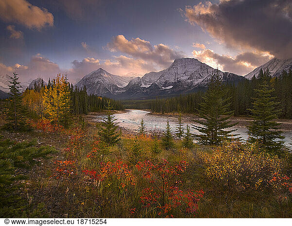 Beautiful fall colors complimented by the cool blue glacial waters of Jasper's Athabasca river lead the eye towards the snowy peaks of the norther Rockies at sunset.