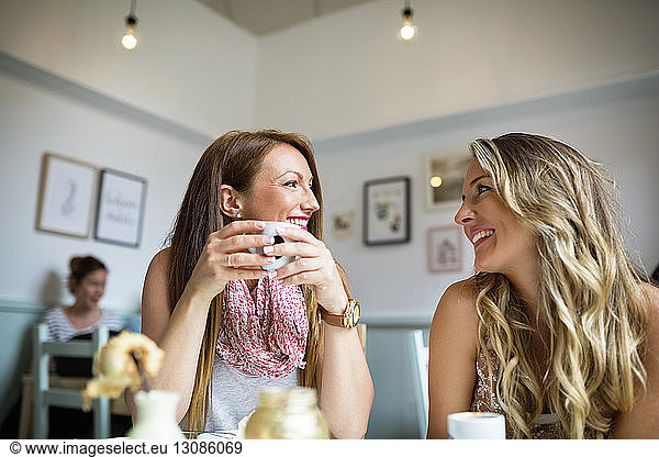 Beautiful female friends talking in coffee shop