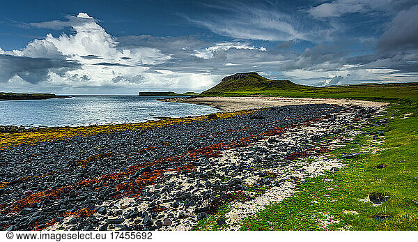 beautiful photograph of a pebble beach