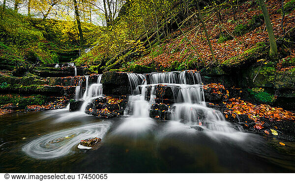 beautiful photograph of a waterfall in a green forest