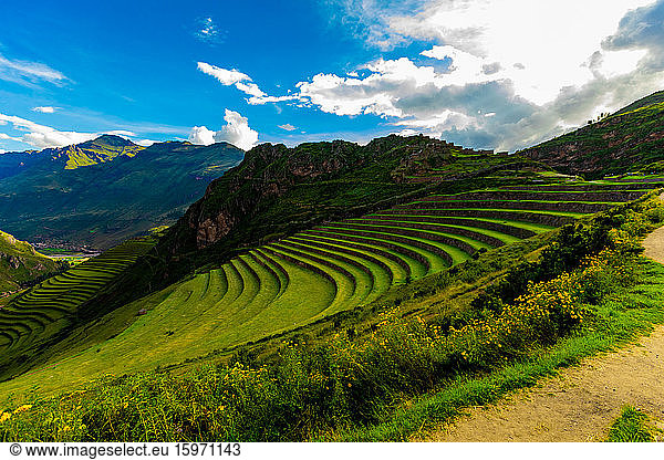 Beautiful terraces on the mountain side at Pisac  Peru  South America