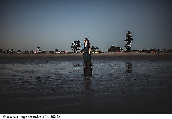 Beautiful woman in long dress standing on the beach at sunset