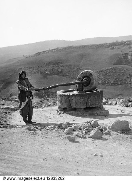 BEDOUIN MAN  c1910. A Bedouin man at a millstone in the Middle East. Stereograph  c1910.