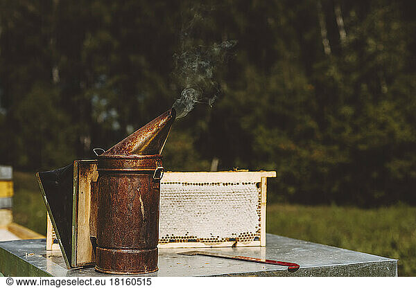 Bee smoker by beehive frame on table