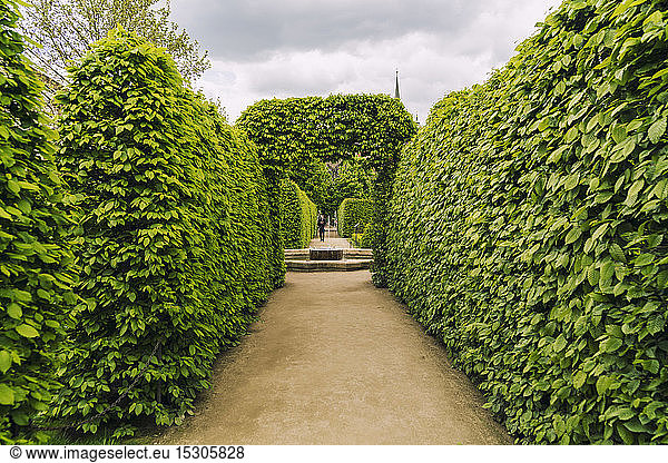 Beechwood hedges in the garden of Wallenstein Palace  Prague  Czech Republic
