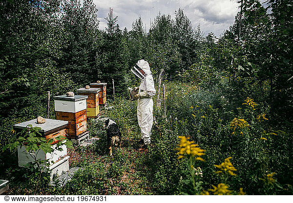 beekeeper and her dog smoking the hives