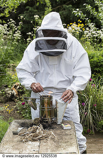 Beekeeper wearing protective suit at work  lighting fire in metal smoker to calm bees.