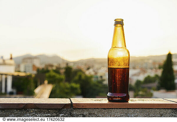 Beer bottle on retaining wall during sunset