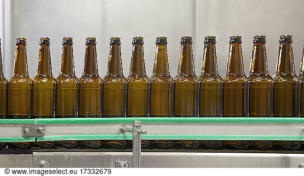 Beer bottling plant  rows of bottles  automated process