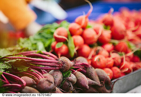 Beets and radish at Farmers' market