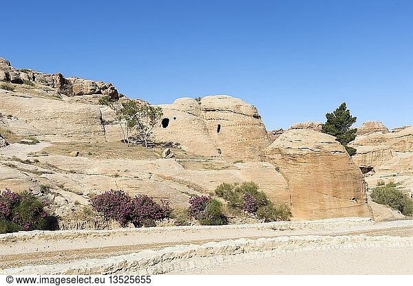 Beginn der Siq-Schlucht mit Steingräbern  Petra  Jordanien  Asien