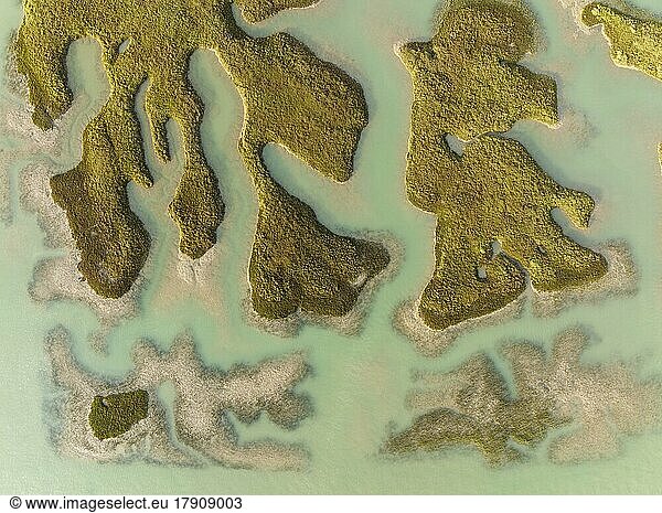 Bei Ebbe tauchen Landstücke im Sumpfgebiet der Bahía de Cádiz auf  Luftbild  Drohnenaufnahme  Provinz Cádiz  Andalusien  Spanien  Europa