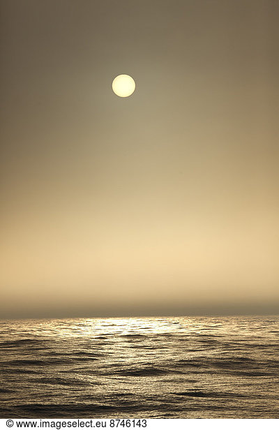 beleuchtet  Ozean  Tretboot  Meer  Nebel  Atlantischer Ozean  Atlantik  Sonne