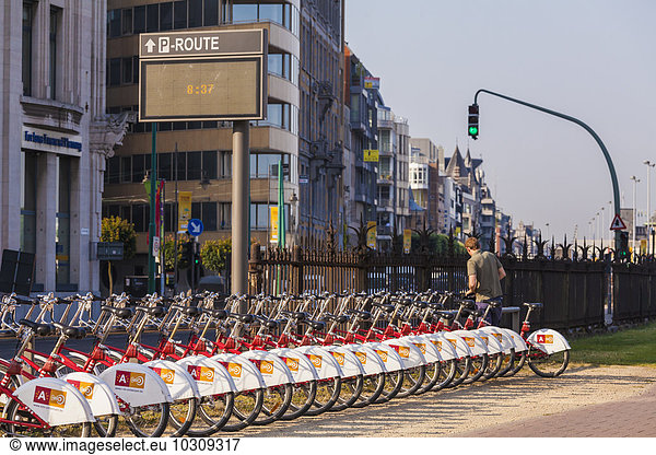 Belgium  Antwerp  row of parked rental bikes