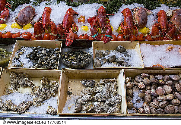 Belgium  Brussels  Restaurant Seafood Display In Rue Des Bouchers