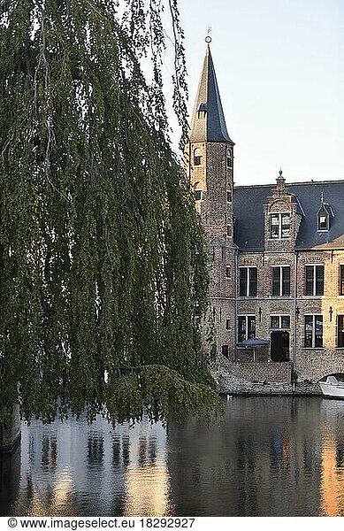 Belgium  West Flanders  Bruges  City river with willow tree in foreground and spired tower in background