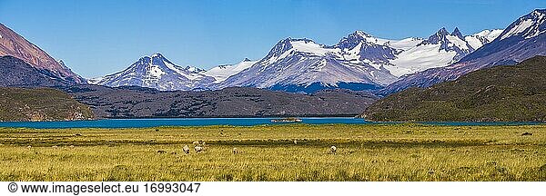 Belgrano-See (Lago Belgrano) und Andengebirge  Perito-Moreno-Nationalpark  Provinz Santa Cruz  Patagonien  Argentinien