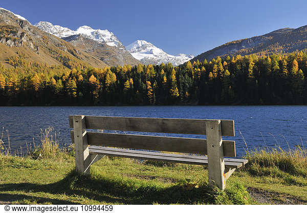 Bench and Silsersee in Autumn  Engadin  Canton of Graubunden  Switzerland