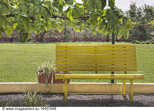Bench in Park