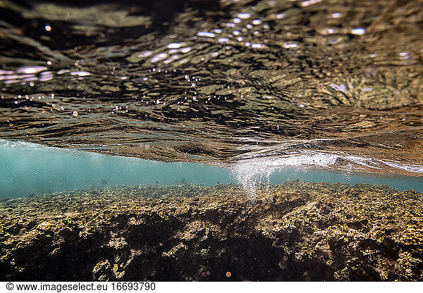 Beneath the ocean surface above a shallow coral reef in hawaii