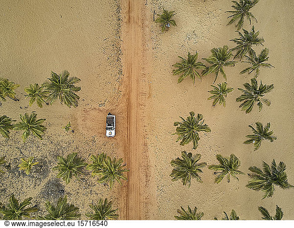 Benin  Luftaufnahme eines 4x4-Autos  das zwischen Palmen am sandigen Küstenstrand geparkt ist