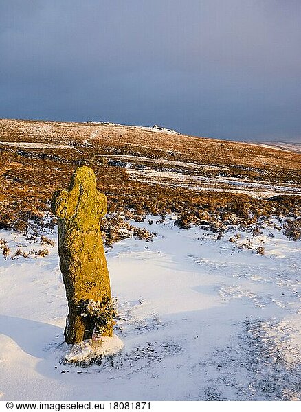Bennetts Cross in winter snow in Dartmoor National Park near Postbridge  Devon  England  United Kingdom  Europe