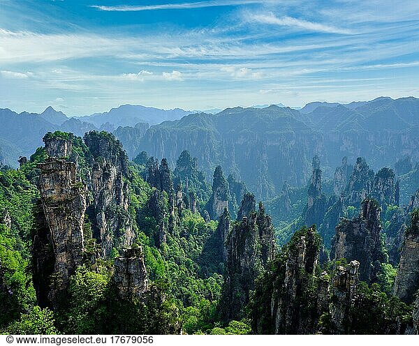 Berühmte Touristenattraktion Chinas  Zhangjiajie Steinsäulen-Felsenberge in Wulingyuan  Hunan  China  Asien