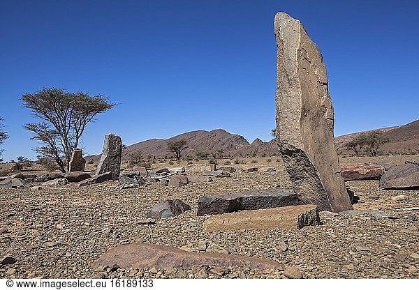 Berber Friedhof im Anti-Atlas  Marokko  Afrika