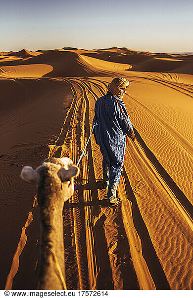 Berber guide leading his camel in Merzouga desert  Morocco.