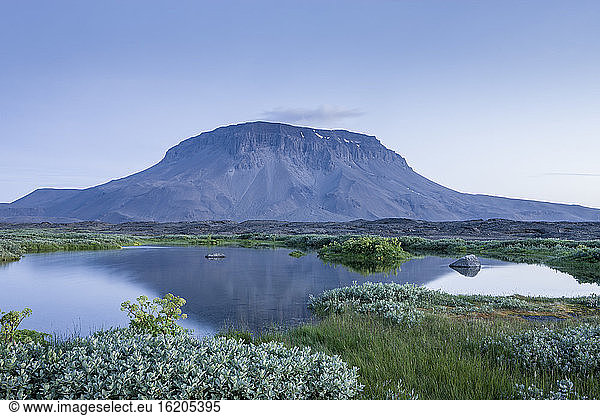 Berg Herdubreid und Oase Herdubreidalindir  Sudur-thigeyjarsysla  Island