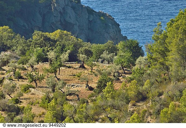 Berg Landschaft Dorf Mallorca Balearen Balearische Inseln Deia Spanien
