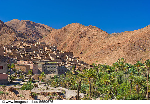 Berg Landschaft klein Tal frontal Dorf rot Afrika Lehm Hain Marokko