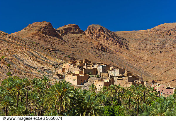 Berg Landschaft klein Tal frontal Dorf rot Verabredung Afrika Lehm Marokko Phoenix