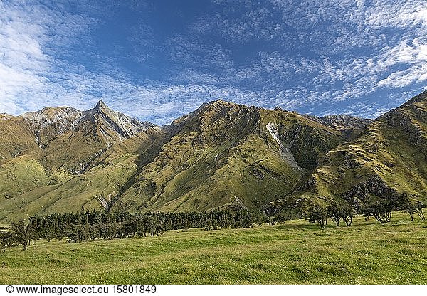 Berge des Mount Aspiring National Park  Rob Roy Glacier Track  Otago  Südinsel  Neuseeland  Ozeanien