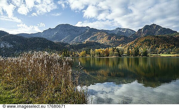 Berge und Wald  Alpenvorland im Herbst  Kochelsee  Bayern  Deutschland  Europa